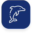 dolhin-icon